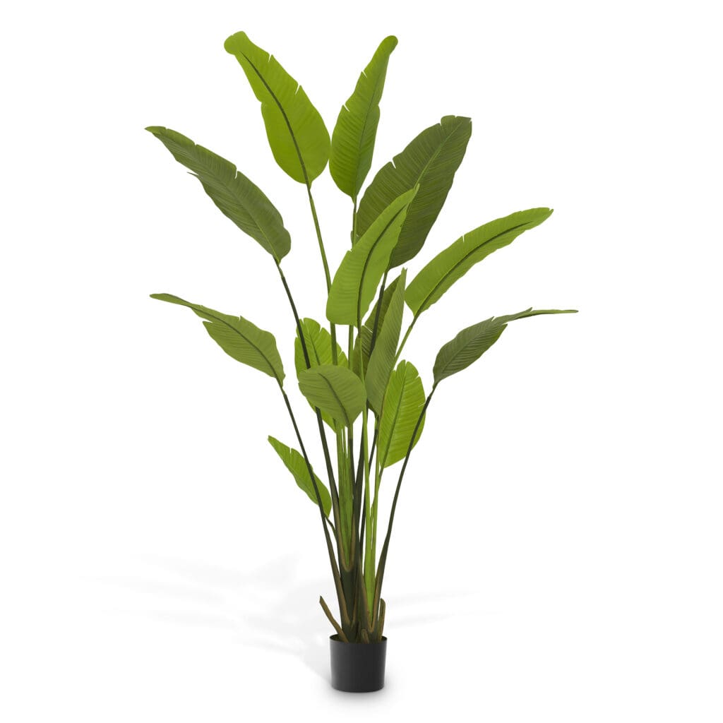 118902 Artificial Plant Strelitzia M