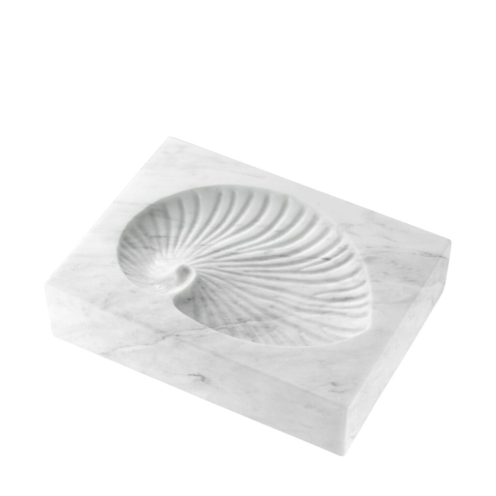 Object Conchiglia 1