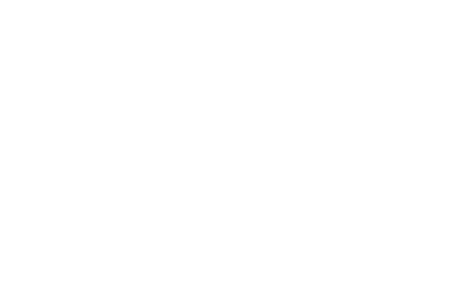wildelogo_white
