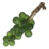EICHHOLTZ FRENCH GRAPES OBJECT GREEN